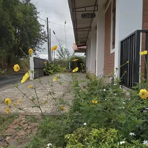 Guest house Windy Hanthana, Kandy